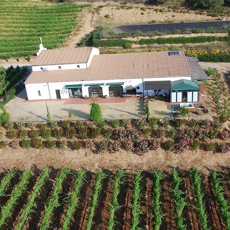 Bodegas Morosanto - Lucio *