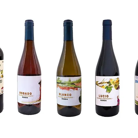 Apartment Bodegas Morosanto - Lucio *