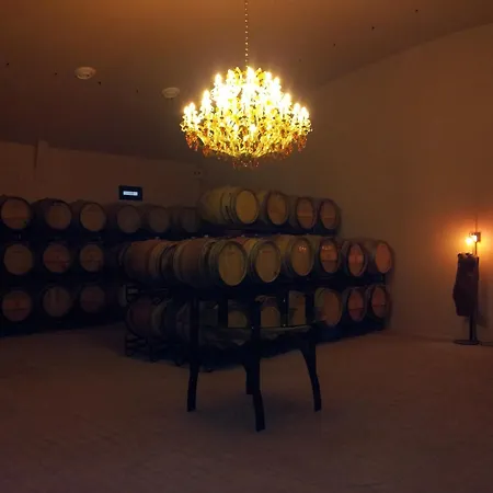 Apartment Bodegas Morosanto - Lucio La Cimada