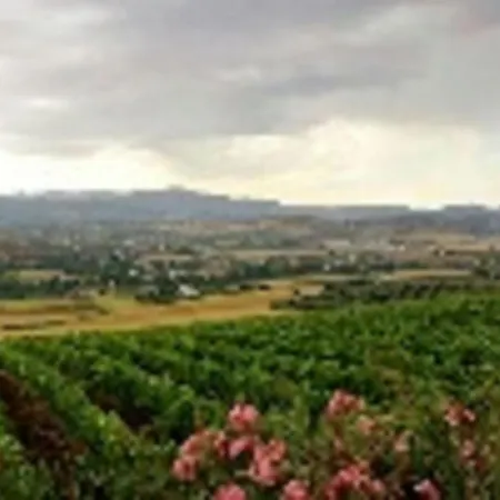 Bodegas Morosanto - Lucio Apartment *